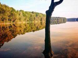 foto_konkurs201900015-1.jpg