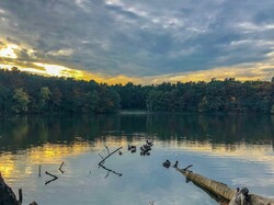 foto_konkurs201900017.jpg