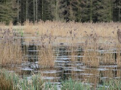 foto_konkurs201900022.jpg