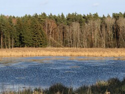 foto_konkurs201900023.jpg