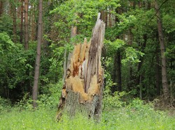 foto_konkurs201900024.jpg