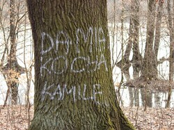foto_konkurs201900027.jpg