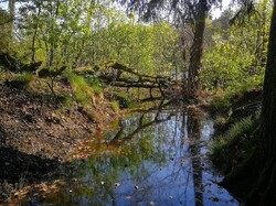 foto_konkurs201900040.jpg